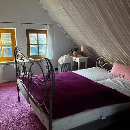 Apartmán Schwalbennest *