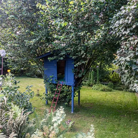 Schwalbennest