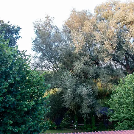 Apartmán Schwalbennest *