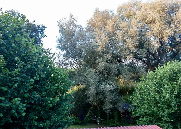 아파트 Schwalbennest *